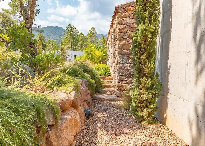 Cupulatta Di Santa Lucia * Sainte-Lucie de Porto-Vecchio